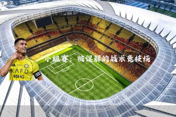 小组赛：被误解的战术竞技场